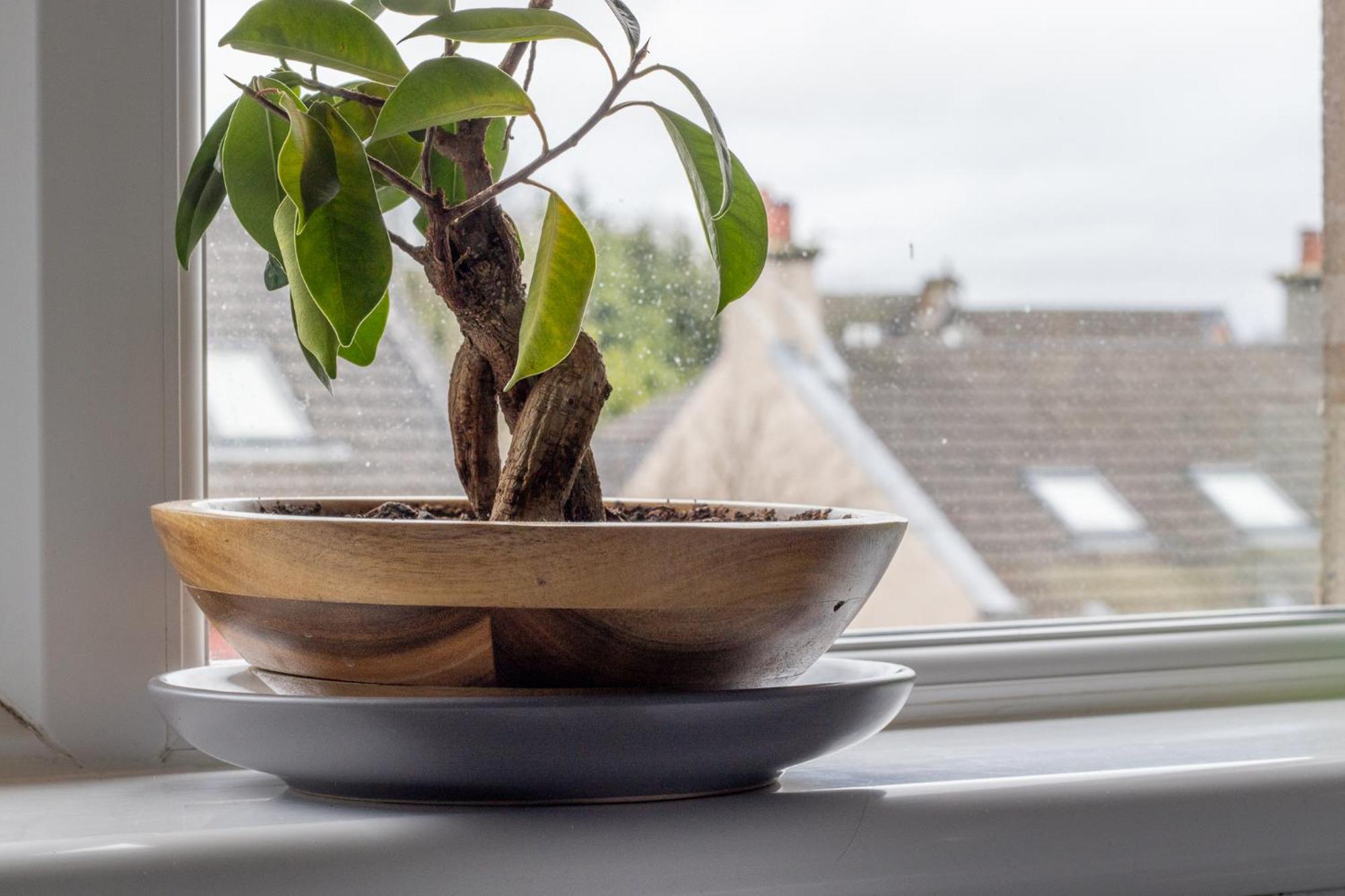 1 Bed Apartment Central Hamilton Free Wifi With Great Transport Links To Glasgow Exteriér fotografie